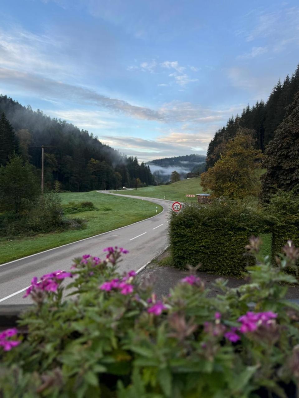 Be Me Black Forest Family Apartment -Zum Letzten G'Stehr Bad Rippoldsau-Schapbach Eksteriør bilde